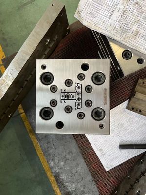 Extrusionsform für zwei Hohlräume Kunststoff-Schaumbild und Extrusionsprofilformwerkzeug