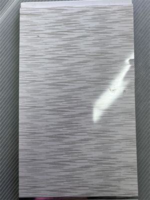 Co-Extrusion Wallboard Asa Pc Pe Upvc Profil Extrusion Druckformformen in Silber PVC