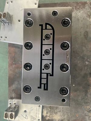Elektroplattierung Polieren Oberflächenbehandlung WPC Extrusionsform für OEM WPC Türrahmen