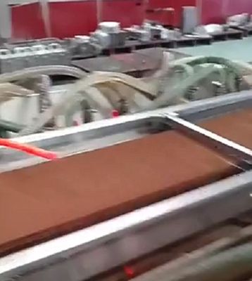 Außenextrusion WPC Holz Kunststoff Gartenzaunplatten'Wahl für Haushaltsprodukt