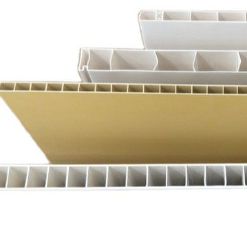 Extrusionsform für PVC-Schaumplatten 1 Schimmelhöhle Chinesische Hersteller PVC-Türplatten